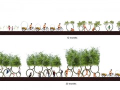 Выставка "ATREE?" в замке Шантийи.